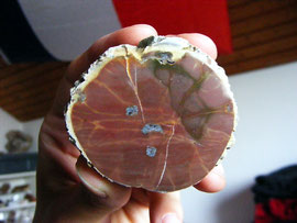 Opal Butte "Agate Bed"