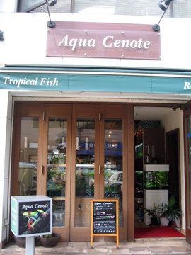 Aqua cenote