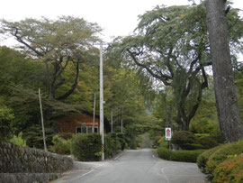 野底山森林公園