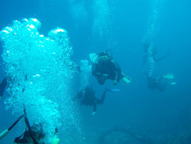 lngée en Mer Rouge