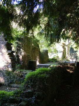 Ruine im Lichtenklingen