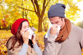 Bärbel Willenbrock Heilpraktikerin Heuschnupfen Sittensen Allergie