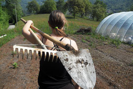 Al lavoro (foto S. Boroni)