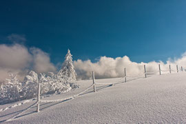 Schwarzwaldbilder im Winter