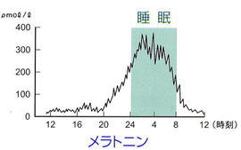 メラトニン　分泌　眠気