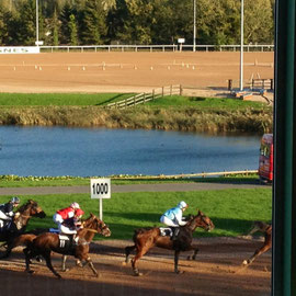 Courses de trot-Graignes-26 Octobre 2013