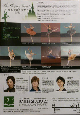 2013公演 フライヤー 裏面