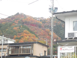 カリタス釜石ベースからの紅葉