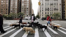 Paseadores hacia Park Avenue.