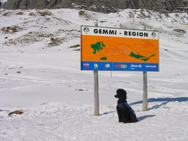 Gemmipass