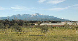 Vue sur le Canigou (massif du Puigmal en arrière-plan)