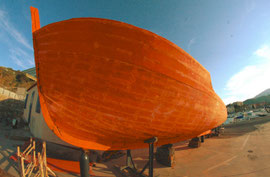 Samyang 8 mm F:14 © L. Charlier