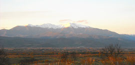 Canigou au soleil levant