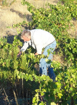 Didier Hamers op "Clots d'en Couloms" (Foto © Coume Majou Press)