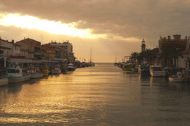 En Camargue (sans Johnny, c'est mieux) 