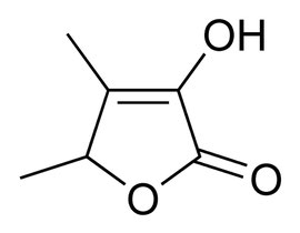 Sotolon