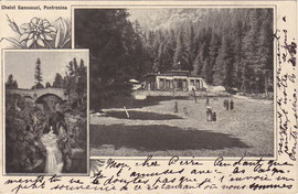 209-003 Verlag: Chalet Sanssouci, Pontresina. Karte gelaufen 19.8.1901