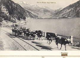 520-015 aus Dr. Buombergers Eisenbahn Panoramakarten