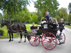 PROMENADE CALECHE / MARIAGE EN CALECHE