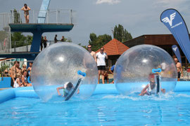 Groß und Klein tummelte sich bei der ersten Aqua-Zorbing-Challenge in der Badearena Krems. Foto: Stadt Krems.