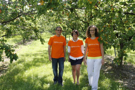 Die neuen Krems-Shirts sind am 11. und 12. Juli bei „Alles Marille“ in Apricot erhältich. Foto: Stadt Krems.