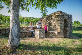 Langenloiser Weinfrühling. Foto: zVg