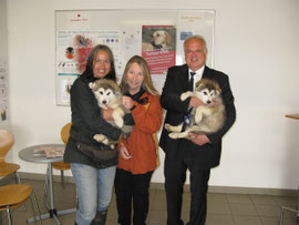 Andrea Specht, Nina Zinn-Zinnenburg und Bürgermeister Dr. Reinhard Resch (von links) mit zwei Malamut-Welpen, den jüngsten Lieblingen im Kremser Tierheim.Foto: Stadt Krems