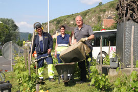 Bürgermeister Dr. Reinhard Resch als prominenter Unterstützer der Stadgärtner Mario Streibel und Andrea Geyer beim Kreisverkehr Förthof. Foto: Stadt Krems