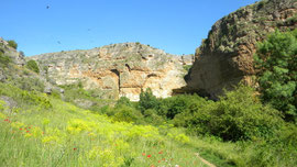 Hoces del Duraton