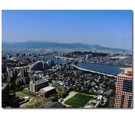 < 福岡タワーから南西を望む >