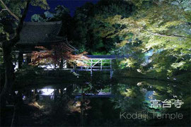高台寺 夜景写真