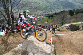 toni bou