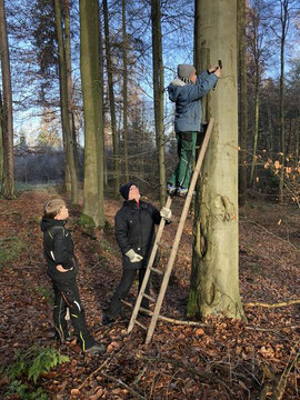 Mark und Patrick bei der Nistkastenanbringung