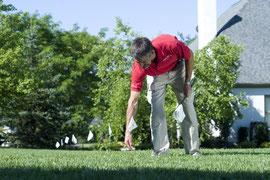 Electronic, Invisible Fence Training