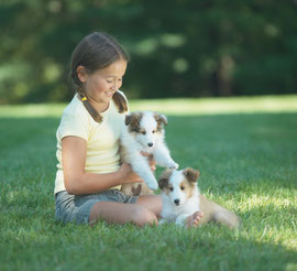 Special patent training technology for puppy training and rescue dog training.