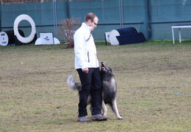 Gehorsam bei Frühjahrsprüfung am 09.03.2013