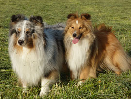 Jack und Kelly