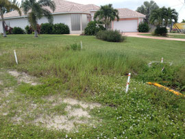 cape coral property