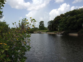 Ferienhaus Cape Coral Villa Coral Laguna Bootsdock