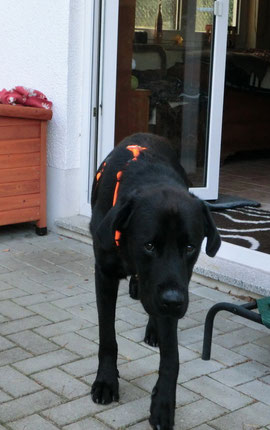 Hat sie schon wieder diese Knipse in der Hand...