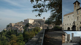 TODI, cliquez pour + de photos