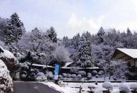 雪の降った次の日の天王川(2010年2月)