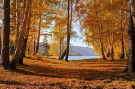 sites naturels et culture à vassivière