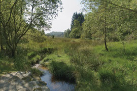 randonnée vassivière