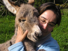 vacances famille animaux