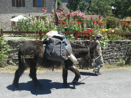 l'âne porte les bagages