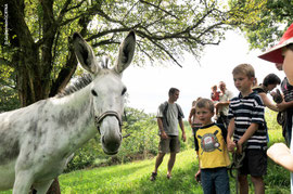 rando âne et enfant