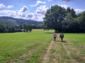 randonner avec un âne