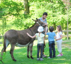 pourquoi randonner en famille avec un âne ?