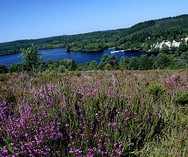 lande du puy la croix